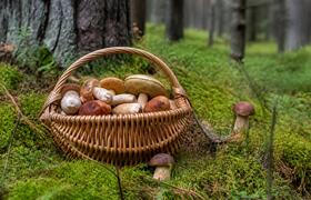 Восемь жителей Татарстана попали в больницу пос...